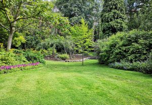 Optimiser l'expérience du jardin à Le Fousseret